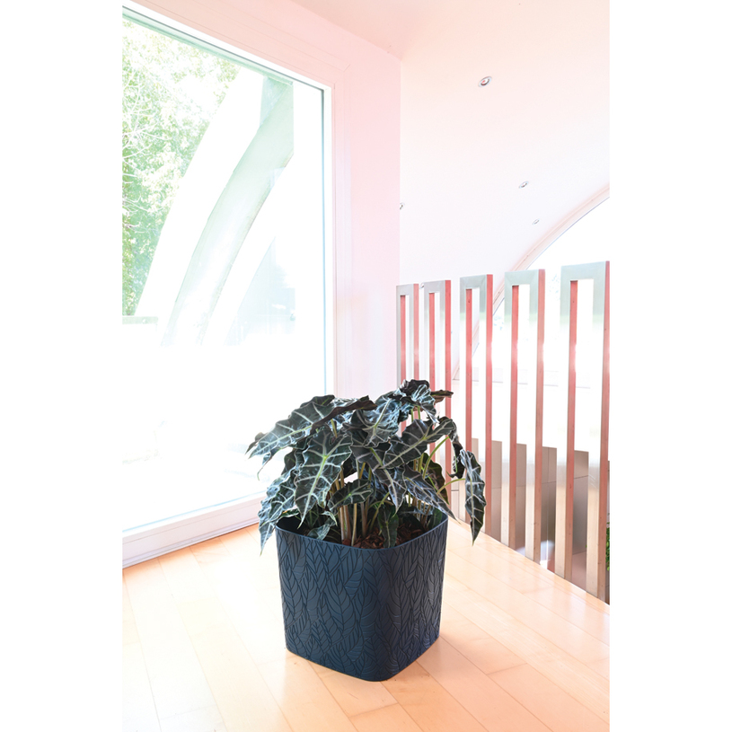 #КАШПА LEAF QUADRO 30 ТЪМНО СИН #КАШПА LEAF QUADRO 30 ТЪМНО СИН