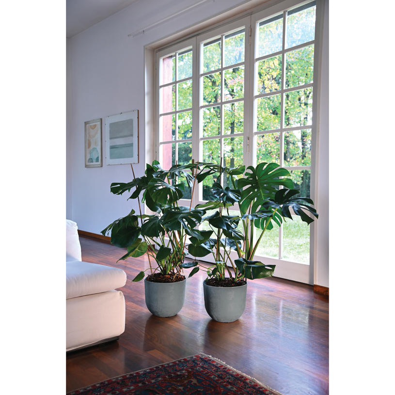 КАШПА SWING POT 30 ЗЕЛЕНА РОСА КАШПА SWING POT 30 ЗЕЛЕНА РОСА