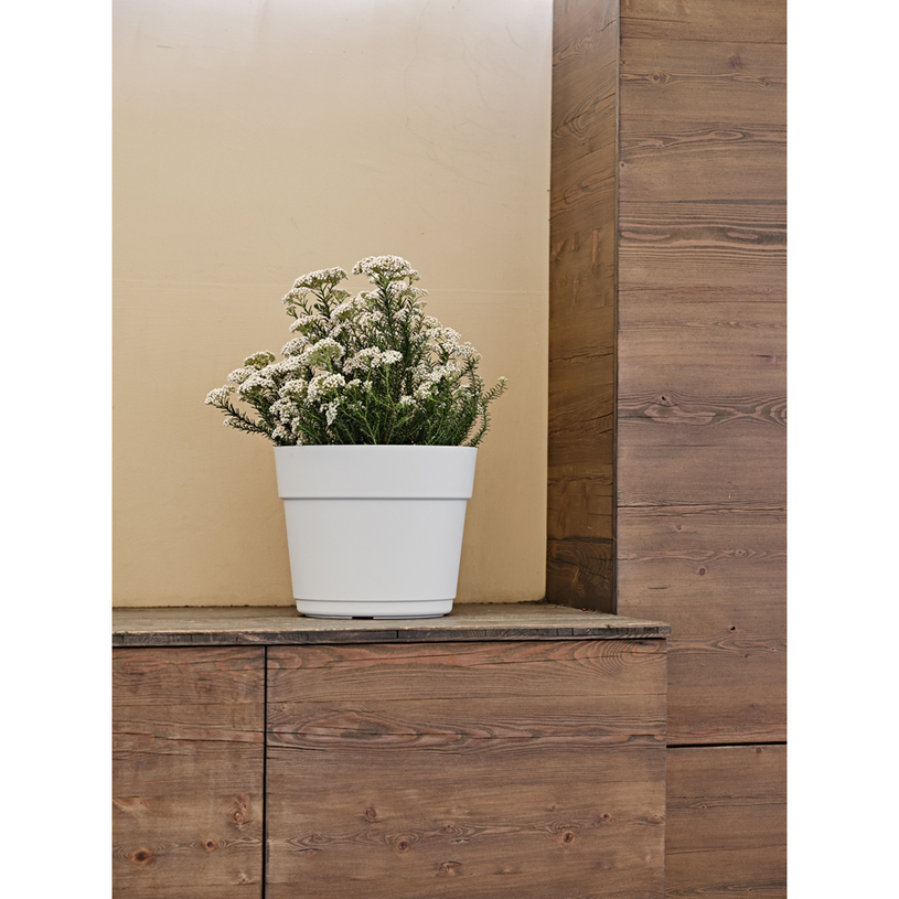 ПЛАСТМАСОВА САКСИЯ BLOOM 24 CLOUD ПЛАСТМАСОВА САКСИЯ BLOOM 24 CLOUD