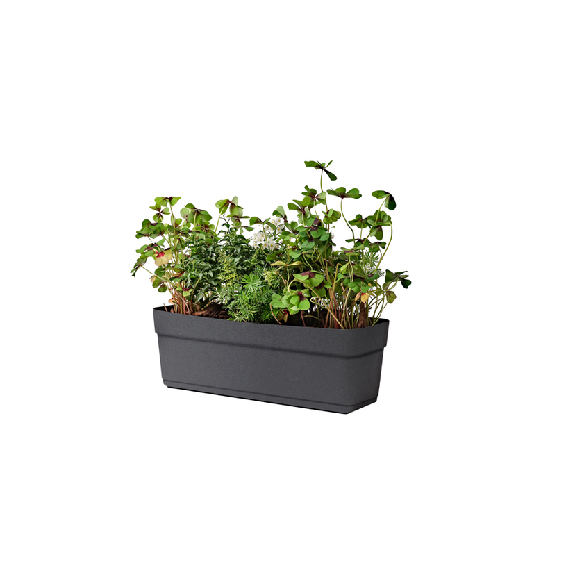 ПЛАСТМАСОВО САНДЪЧЕ BLOSSOM 50 ASH ПЛАСТМАСОВО САНДЪЧЕ BLOSSOM 50 ASH