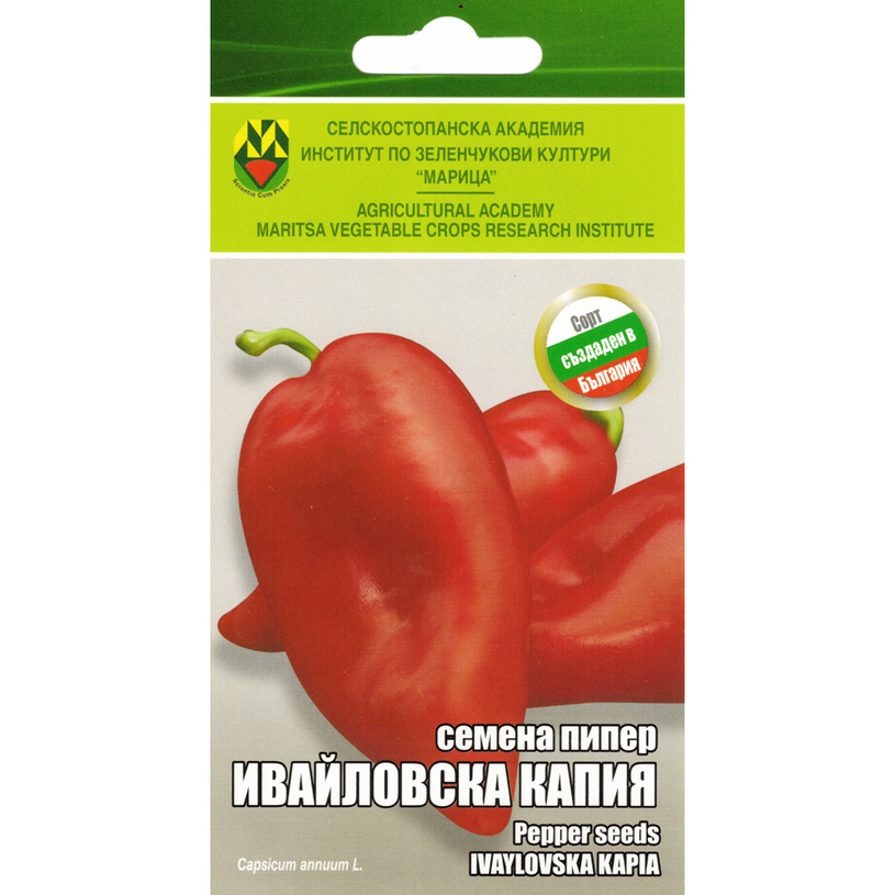 *ПИПЕР ИВАЙЛОВСКА КАПИЯ СЕМЕНА ЗА ЗЕЛЕНЧ *ПИПЕР ИВАЙЛОВСКА КАПИЯ СЕМЕНА ЗА ЗЕЛЕНЧ