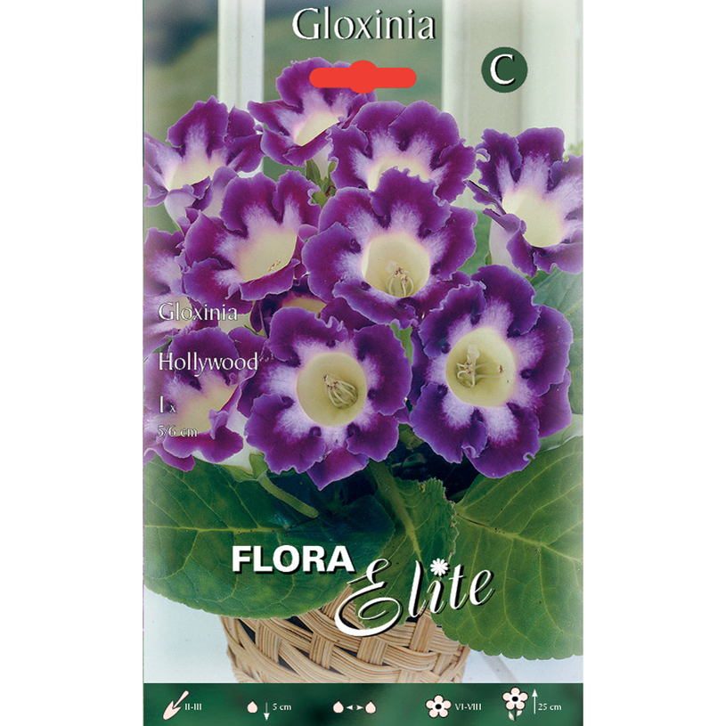 ЛУКОВИЦИ ГЛОКСИНИЯ HOLLYWOOD 1БР 5/6 ЛУКОВИЦИ ГЛОКСИНИЯ HOLLYWOOD 1БР 5/6