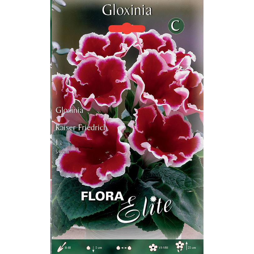 ЛУКОВИЦИ ГЛОКСИНИЯ KAISER FRIEDRICH 1БР ЛУКОВИЦИ ГЛОКСИНИЯ KAISER FRIEDRICH 1БР