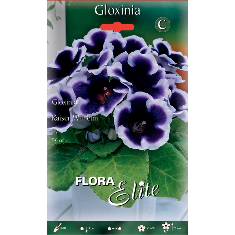 ЛУКОВИЦИ ГЛОКСИНИЯ KAISER WILHELM 1БР ЛУКОВИЦИ ГЛОКСИНИЯ KAISER WILHELM 1БР