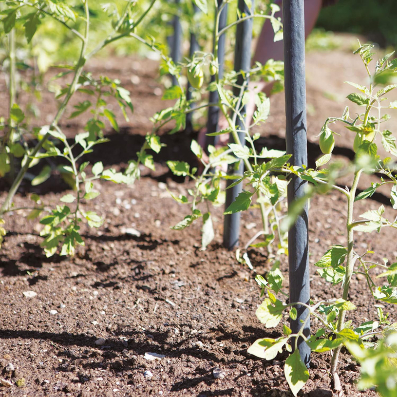 СТЪЛБ ЗА УВИВНИ РАСТЕНИЯ Ф27mm H1.8m сив СТЪЛБ ЗА УВИВНИ РАСТЕНИЯ Ф27mm H1.8m сив