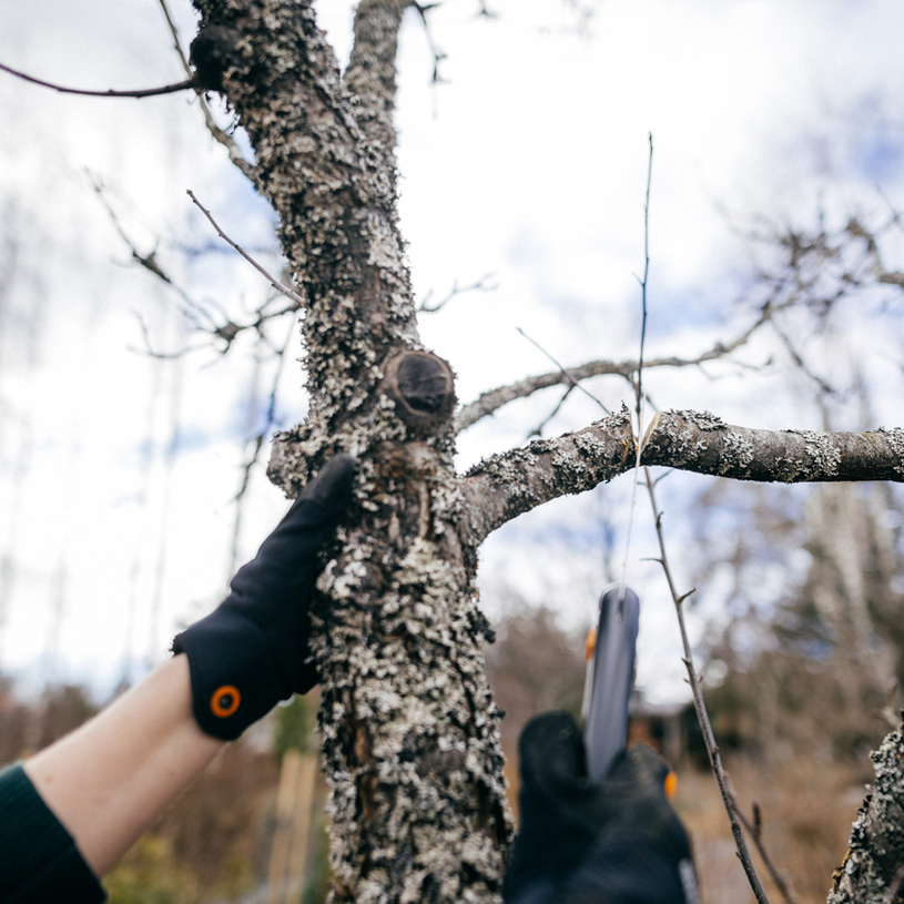 СГЪВАЕМ ТРИОН FISKARS PLUS 21 СМ SW69 СГЪВАЕМ ТРИОН FISKARS PLUS 21 СМ SW69