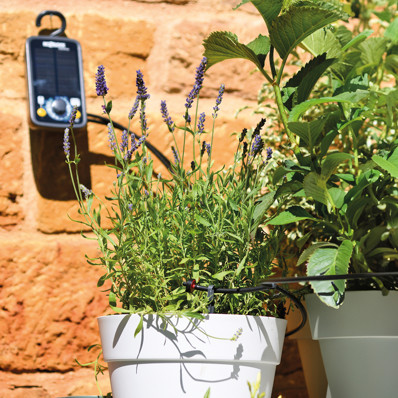 ПРОГРАМАТОР SOLAR SELECT И КАПКОВА С-МА ПРОГРАМАТОР SOLAR SELECT И КАПКОВА С-МА