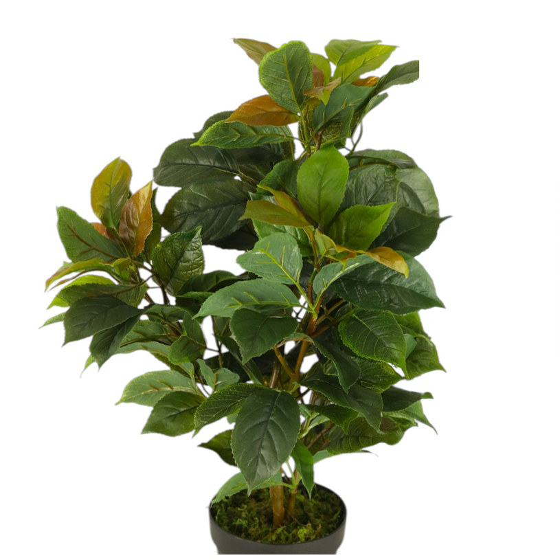 ИЗКУСТВЕНО РАСТЕНИЕ ФИКУС 65CM ИЗКУСТВЕНО РАСТЕНИЕ ФИКУС 65CM