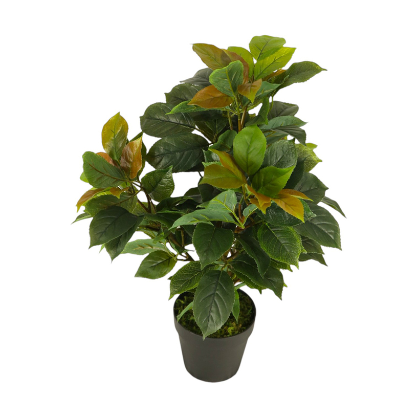 ИЗКУСТВЕНО РАСТЕНИЕ ФИКУС 65CM ИЗКУСТВЕНО РАСТЕНИЕ ФИКУС 65CM
