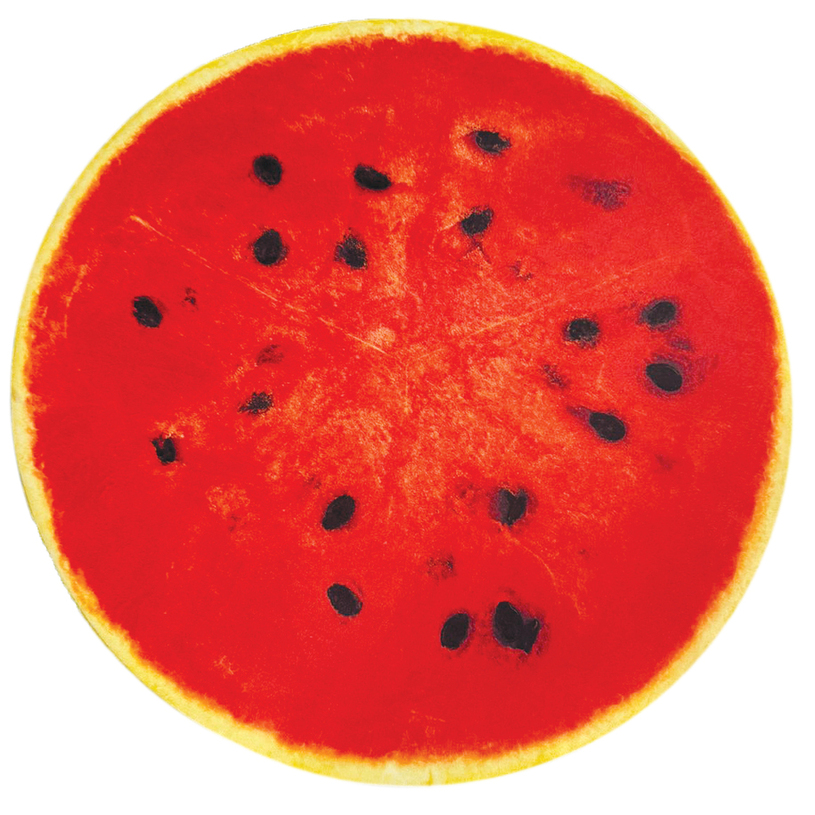 ВЪЗГЛАВНИЦА ЗА СТОЛ ДИНЯ Ф40 СМ ВЪЗГЛАВНИЦА ЗА СТОЛ ДИНЯ Ф40 СМ