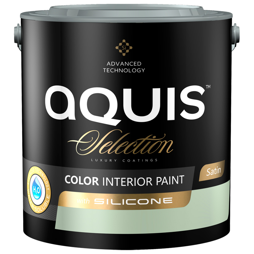 БОЯ СЪС СИЛИКОН ПРОЛЕТНО ПОЛЕ 2.5 L БОЯ СЪС СИЛИКОН ПРОЛЕТНО ПОЛЕ 2.5 L