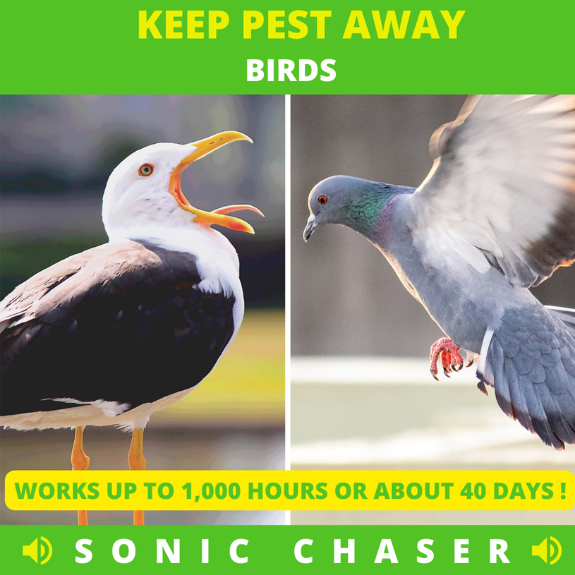 УРЕД ЗА ЗАЩИТА ОТ ГЪЛЪБИ WEITECH IP44 УРЕД ЗА ЗАЩИТА ОТ ГЪЛЪБИ WEITECH IP44