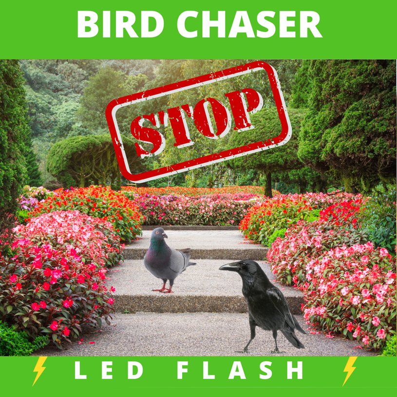 УРЕД ЗАЩИТА ОТ ПТИЦИ SOLAR BTR WEITECH УРЕД ЗАЩИТА ОТ ПТИЦИ SOLAR BTR WEITECH