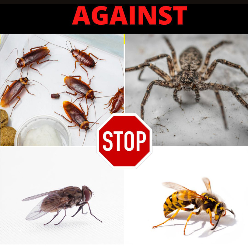 ЕЛЕКТРИЧЕСКА МУХОБОЙКА БАТЕРИИ WEITECH ЕЛЕКТРИЧЕСКА МУХОБОЙКА БАТЕРИИ WEITECH