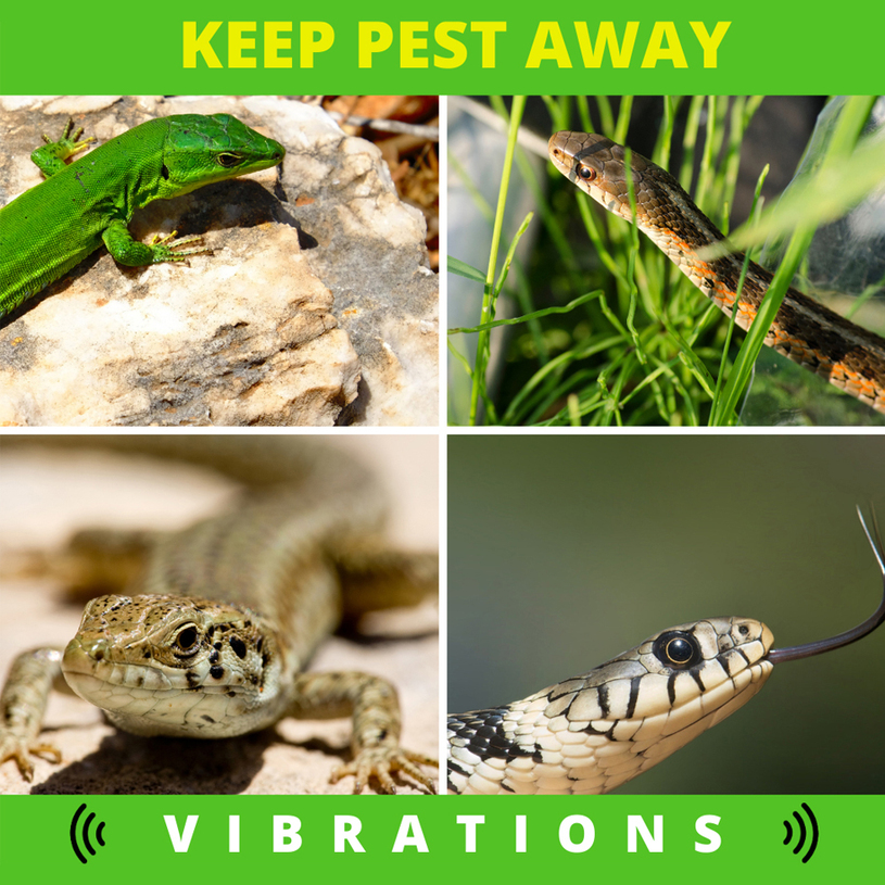 СОЛАРЕН УРЕД ПРОТИВ ЗМИИ WEITECH СОЛАРЕН УРЕД ПРОТИВ ЗМИИ WEITECH