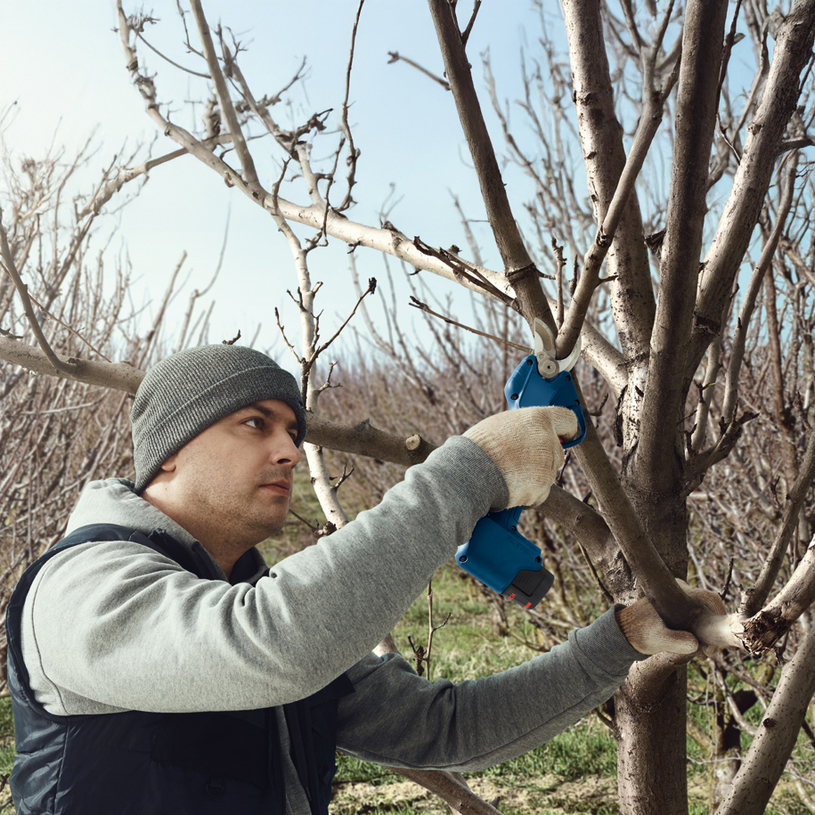 BOSCH BLUE АК.ЛОЗАРСКА НОЖИЦА GGP 12V-25 BOSCH BLUE АК.ЛОЗАРСКА НОЖИЦА GGP 12V-25