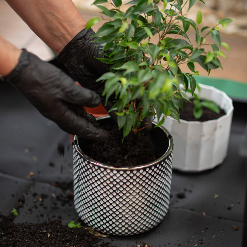 BRADAS ПОСТЕЛКА ЗА ПРЕСАЖДАНЕ 100X100CM BRADAS ПОСТЕЛКА ЗА ПРЕСАЖДАНЕ 100X100CM