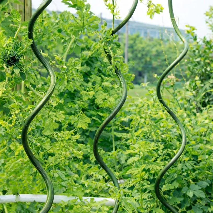 СПИРАЛОВИДНО СТОМ КОЛЧЕ РАСТЕНИЯ 1.50M СПИРАЛОВИДНО СТОМ КОЛЧЕ РАСТЕНИЯ 1.50M