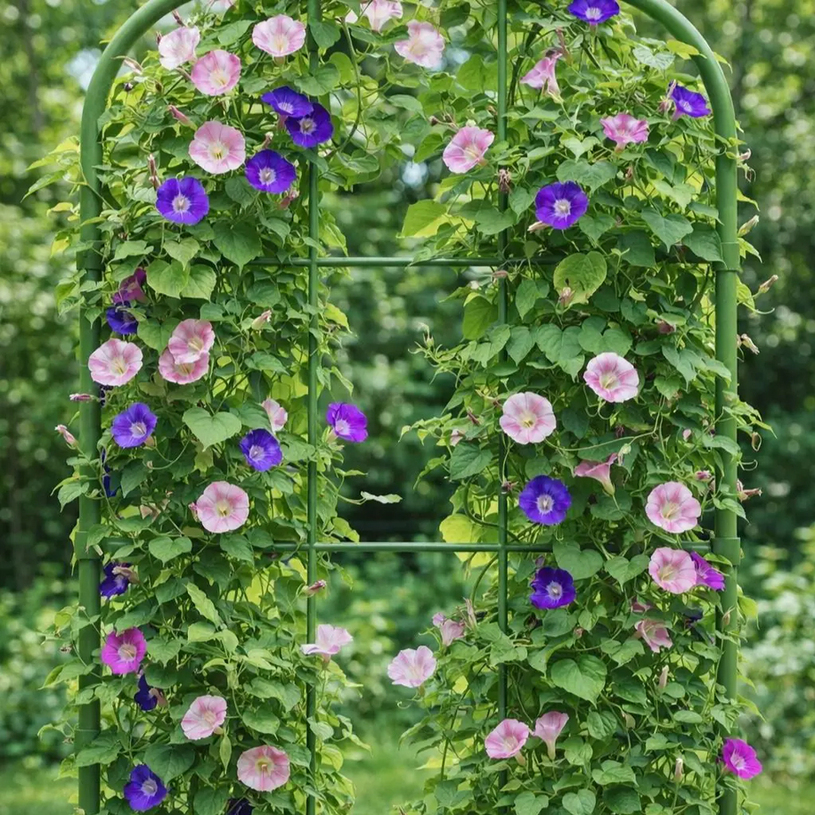 ОПОРА ЗА ПЪЛЗЯЩИ РАСТЕНИЯ 75CM GRN ОПОРА ЗА ПЪЛЗЯЩИ РАСТЕНИЯ 75CM GRN