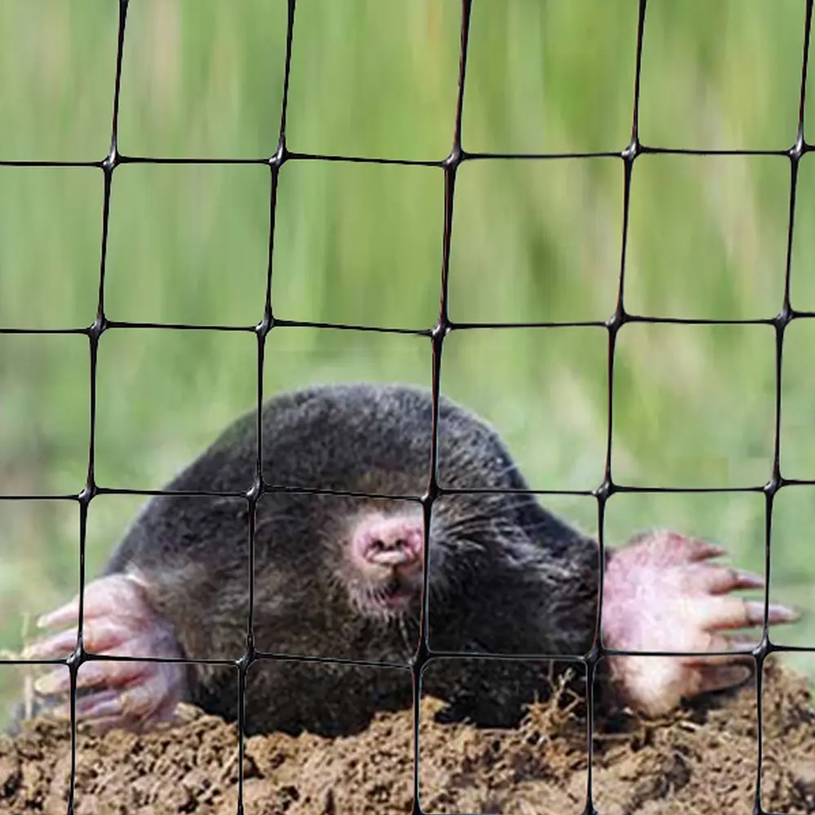 ПРЕДПАЗНА МРЕЖА П-В КЪРТИЦИ 30G/M2 2X20M ПРЕДПАЗНА МРЕЖА П-В КЪРТИЦИ 30G/M2 2X20M