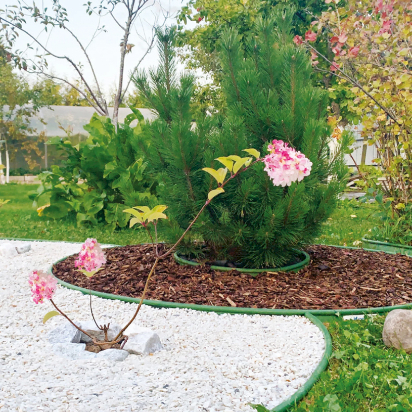 РАЗДЕЛИТЕЛ ЗА ТРЕВА 6MX10CM GREEN РАЗДЕЛИТЕЛ ЗА ТРЕВА 6MX10CM GREEN