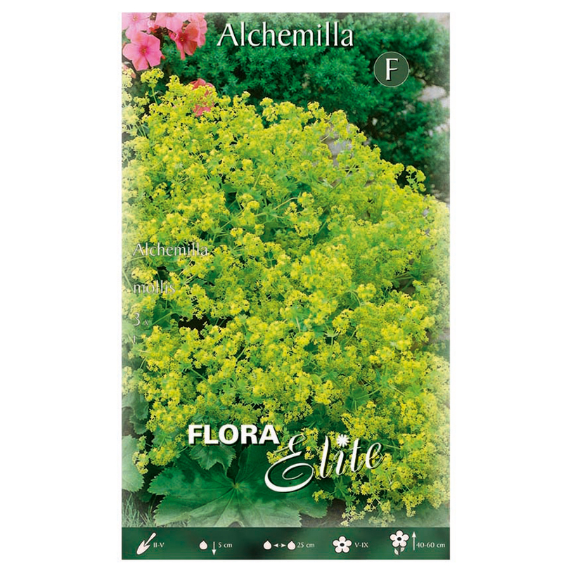 ЛУКОВИЦИ МЕКОЛИСТНО ШАПИЧЕ 3БР I ЛУКОВИЦИ МЕКОЛИСТНО ШАПИЧЕ 3БР I