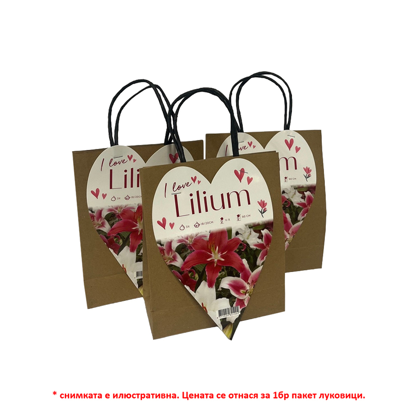 &ЛУКОВИЦИ ЛИЛИУМ I LOVE 3БР 18/20 &ЛУКОВИЦИ ЛИЛИУМ I LOVE 3БР 18/20
