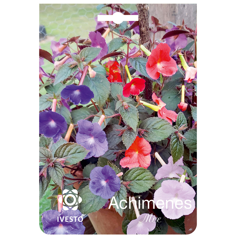 ЛУКОВИЦИ АХИМЕНЕС MIX 3БР ЛУКОВИЦИ АХИМЕНЕС MIX 3БР