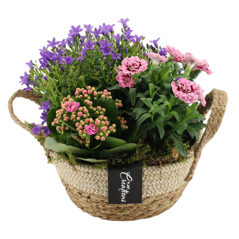 ТРИО АРАНЖИРОВКА ПРОЛЕТ Ф21CM H:25CM ТРИО АРАНЖИРОВКА ПРОЛЕТ Ф21CM H:25CM