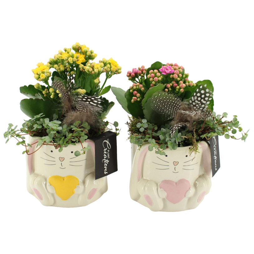 АРАНЖИРОВКА ВЕЛИКДЕН Ф11CM H:20CM АРАНЖИРОВКА ВЕЛИКДЕН Ф11CM H:20CM