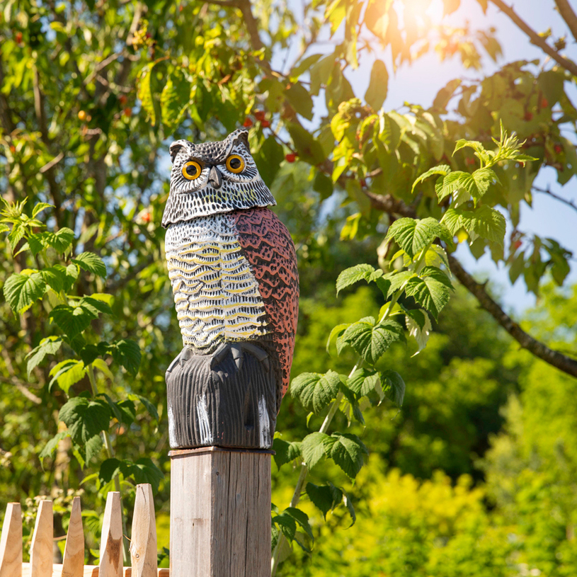 БУХАЛ ЗА ЗАЩИТА ОТ ПТИЦИ 40CM БУХАЛ ЗА ЗАЩИТА ОТ ПТИЦИ 40CM