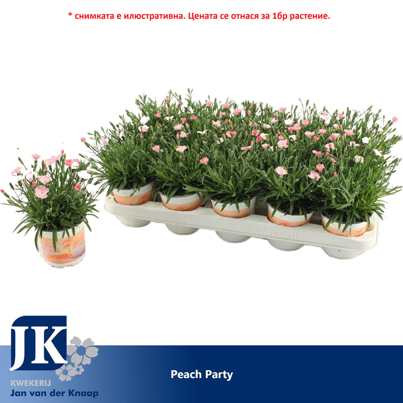 КАРАМФИЛ PEACH PARTY Ф10.5CM H:20CM КАРАМФИЛ PEACH PARTY Ф10.5CM H:20CM