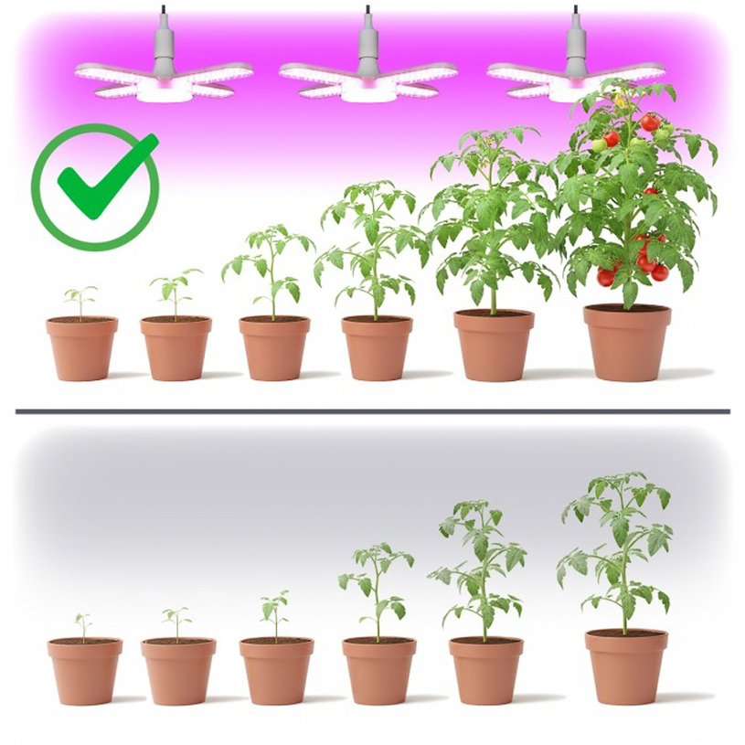 LED крушка за растения PLANTY E27 40W LED крушка за растения PLANTY E27 40W