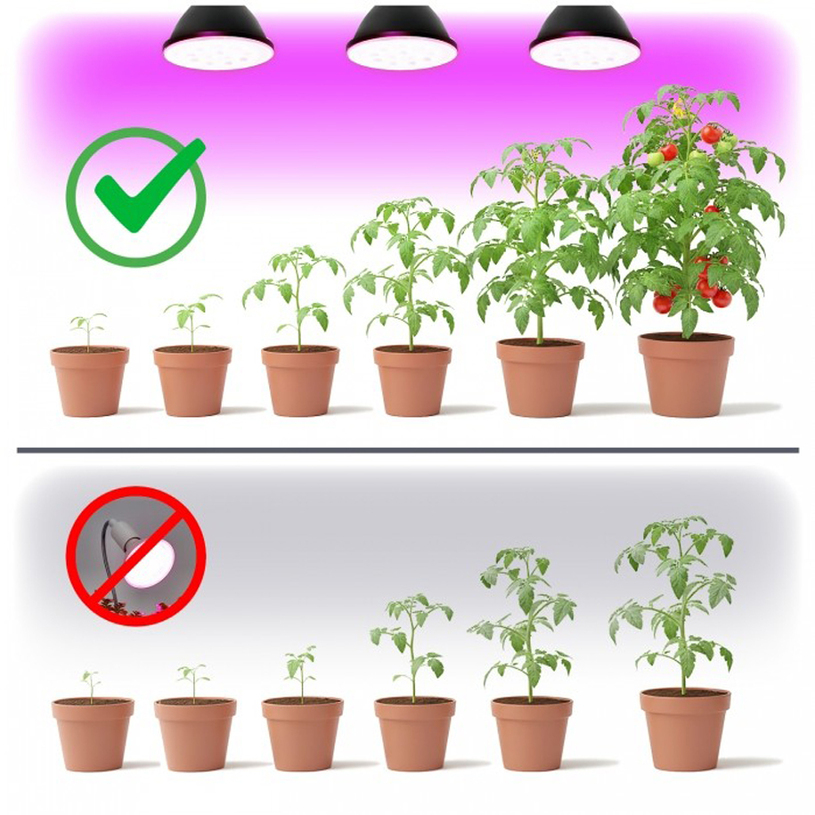 LED крушка раст. PLANTY B E27 7W 1200K LED крушка раст. PLANTY B E27 7W 1200K