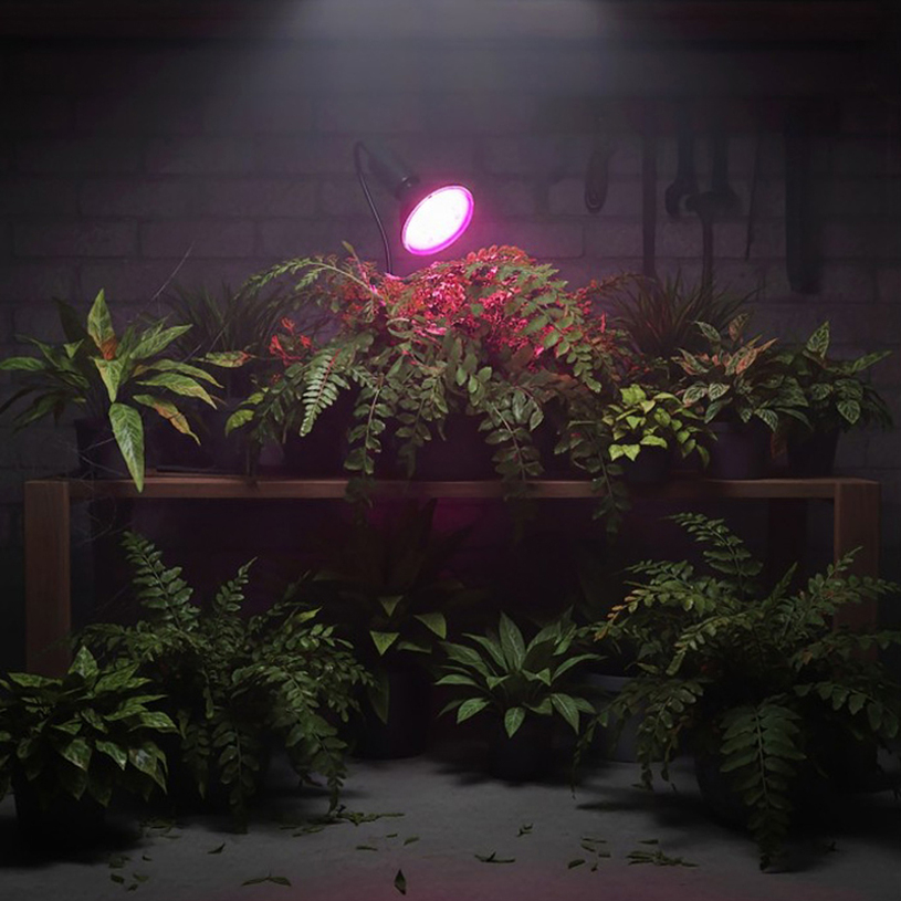 LED крушка раст. PLANTY B E27 9W 1200K LED крушка раст. PLANTY B E27 9W 1200K
