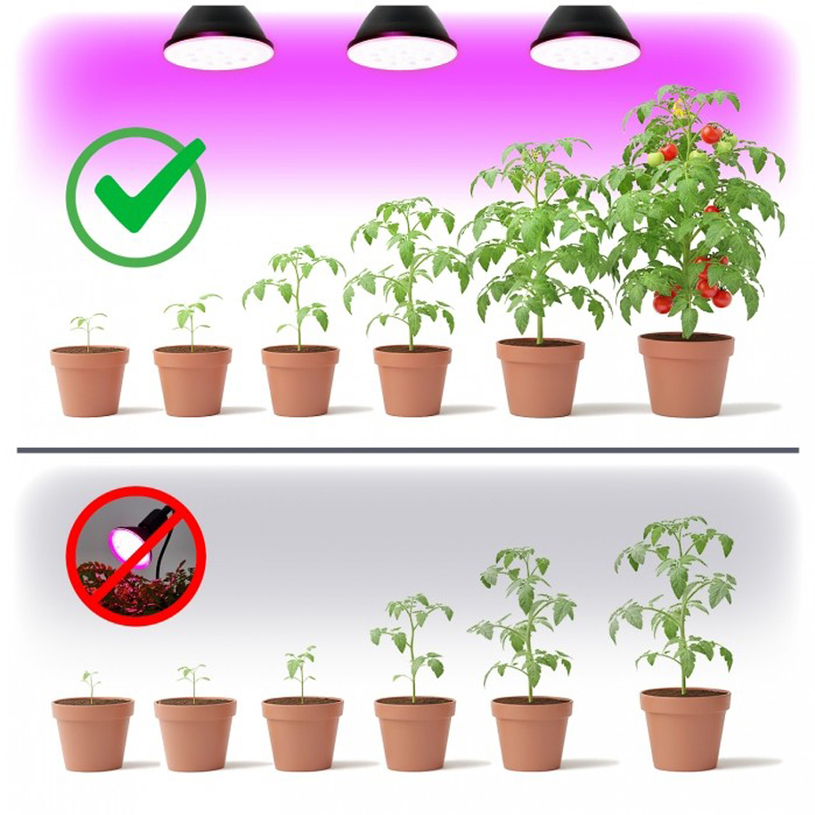 LED крушка раст. PLANTY B E27 9W 1200K LED крушка раст. PLANTY B E27 9W 1200K