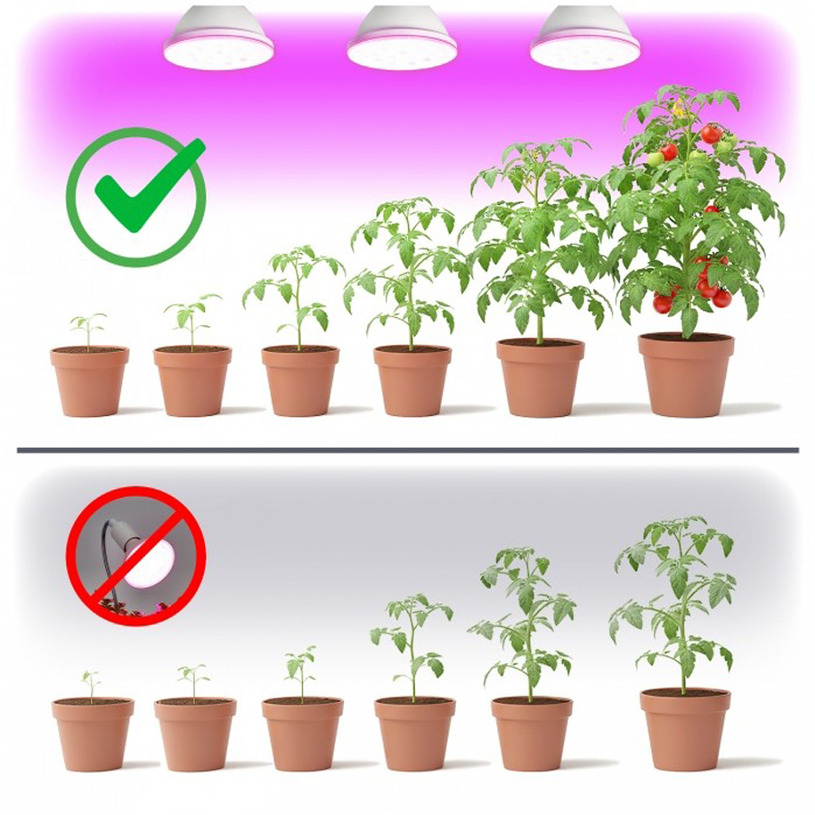 LED крушка раст. PLANTY W E27 7W 1200K LED крушка раст. PLANTY W E27 7W 1200K