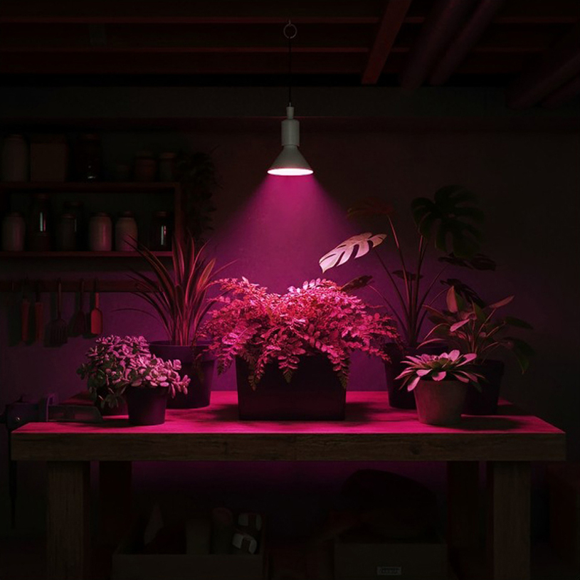 LED крушка раст. PLANTY W E27 9W 1200K LED крушка раст. PLANTY W E27 9W 1200K