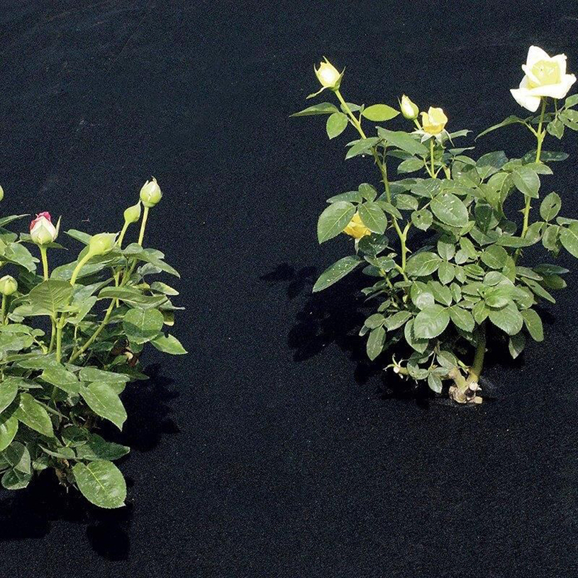 ПОКРИВАЛО FULL COVER ПРОТИВ ПЛЕВЕЛИ ПОКРИВАЛО FULL COVER ПРОТИВ ПЛЕВЕЛИ