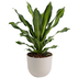 #КАШПА TATTOO POT 30 БЯЛ КАМЪК #КАШПА TATTOO POT 30 БЯЛ КАМЪК