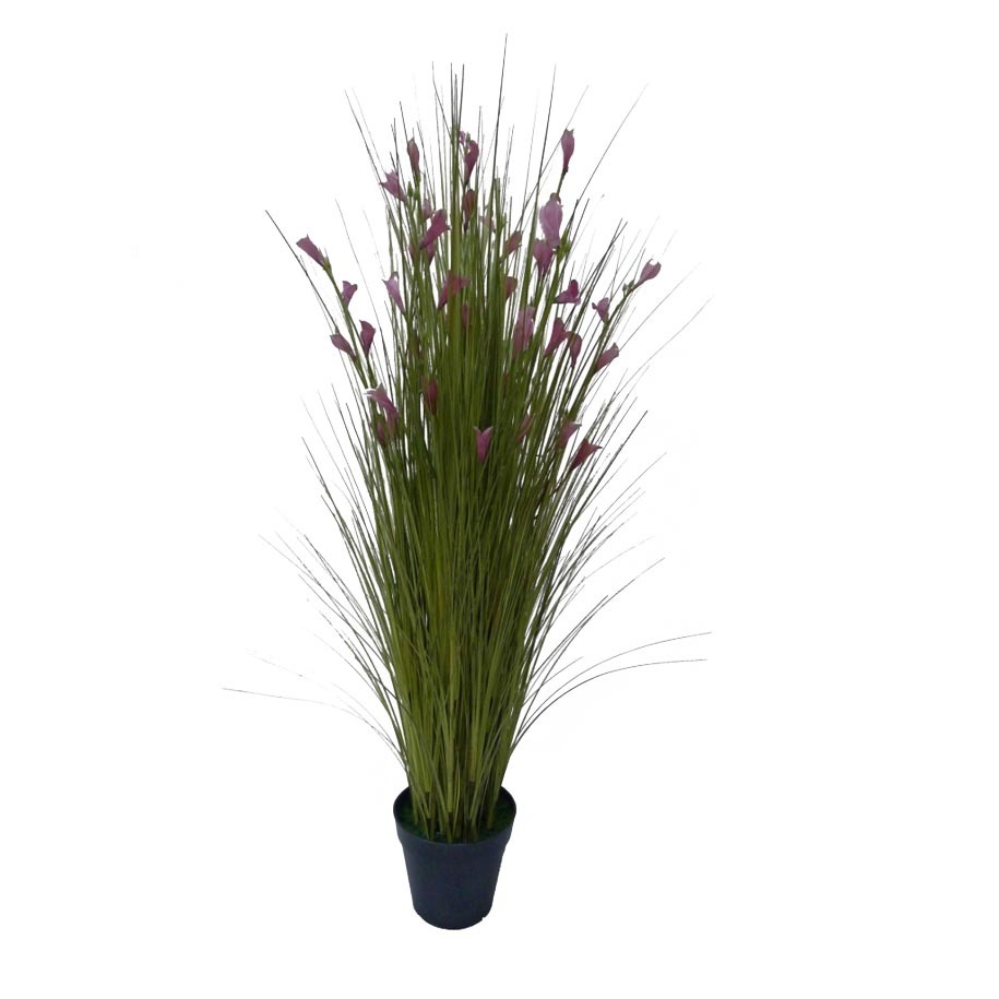 77 cm of height for real green volume