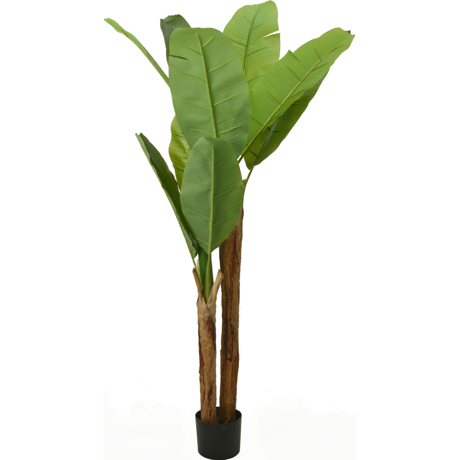 Artificial Banana Plant (Musa) 160 cm PL6000130/PL8250020
