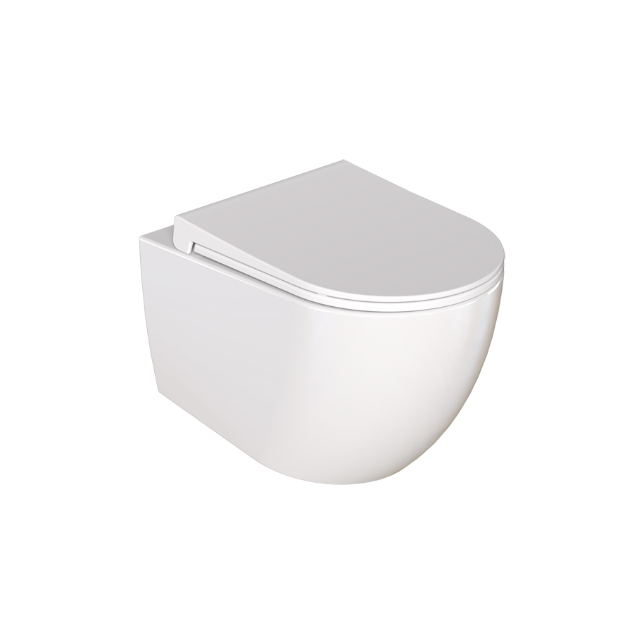 DURA SIENA Wall-Hung Toilet with Bidet Function, Ceramic, White, Soft-Close Seat