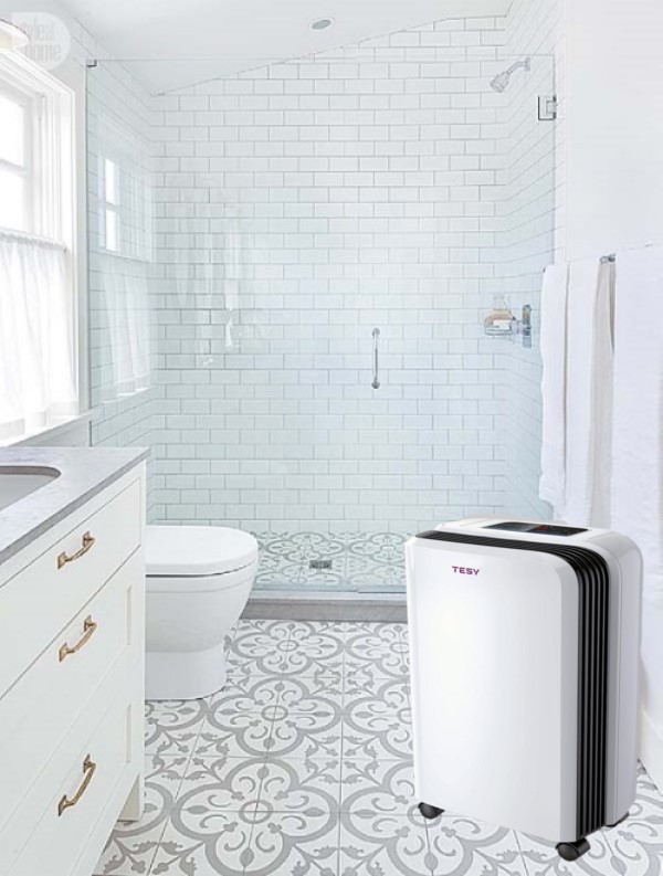 асгфдсгсдг